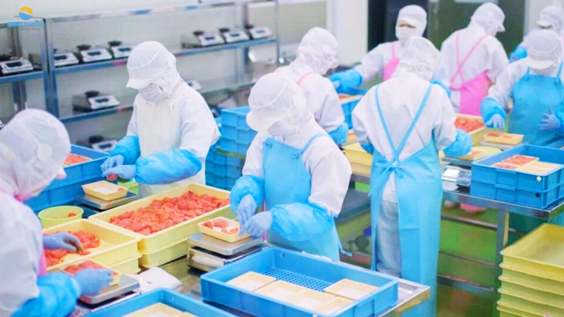 Thông báo tuyển đơn hàng Chế biến thực phẩm thủy sản không gia nhiệt